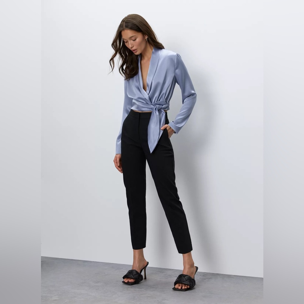 Babaton Davis Blouse - Picture 4 of 9